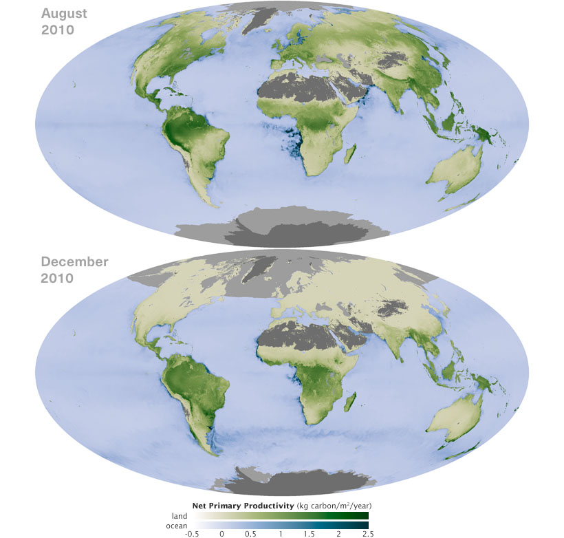 Maps comparing Net Primary Productivity between August and December of 2010.