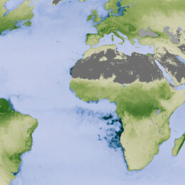 A close-up map showing net primary productivity.