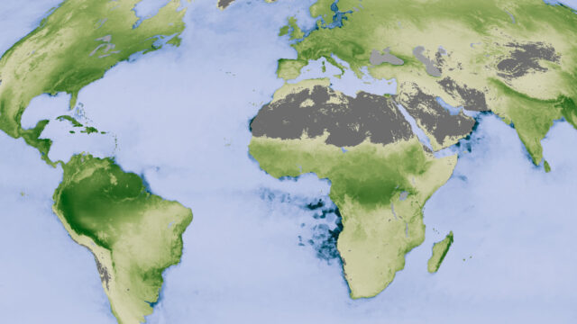 A close-up map showing net primary productivity.