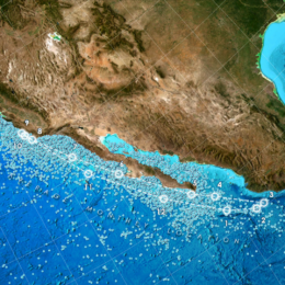 Map of Pacific Ocean off the coast of North America showing blue whale observations.
