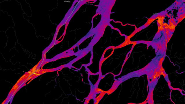 Colorized SAR image of river deltas in Amazon rainforest.