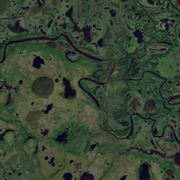 Image of wetlands in Northern Russia