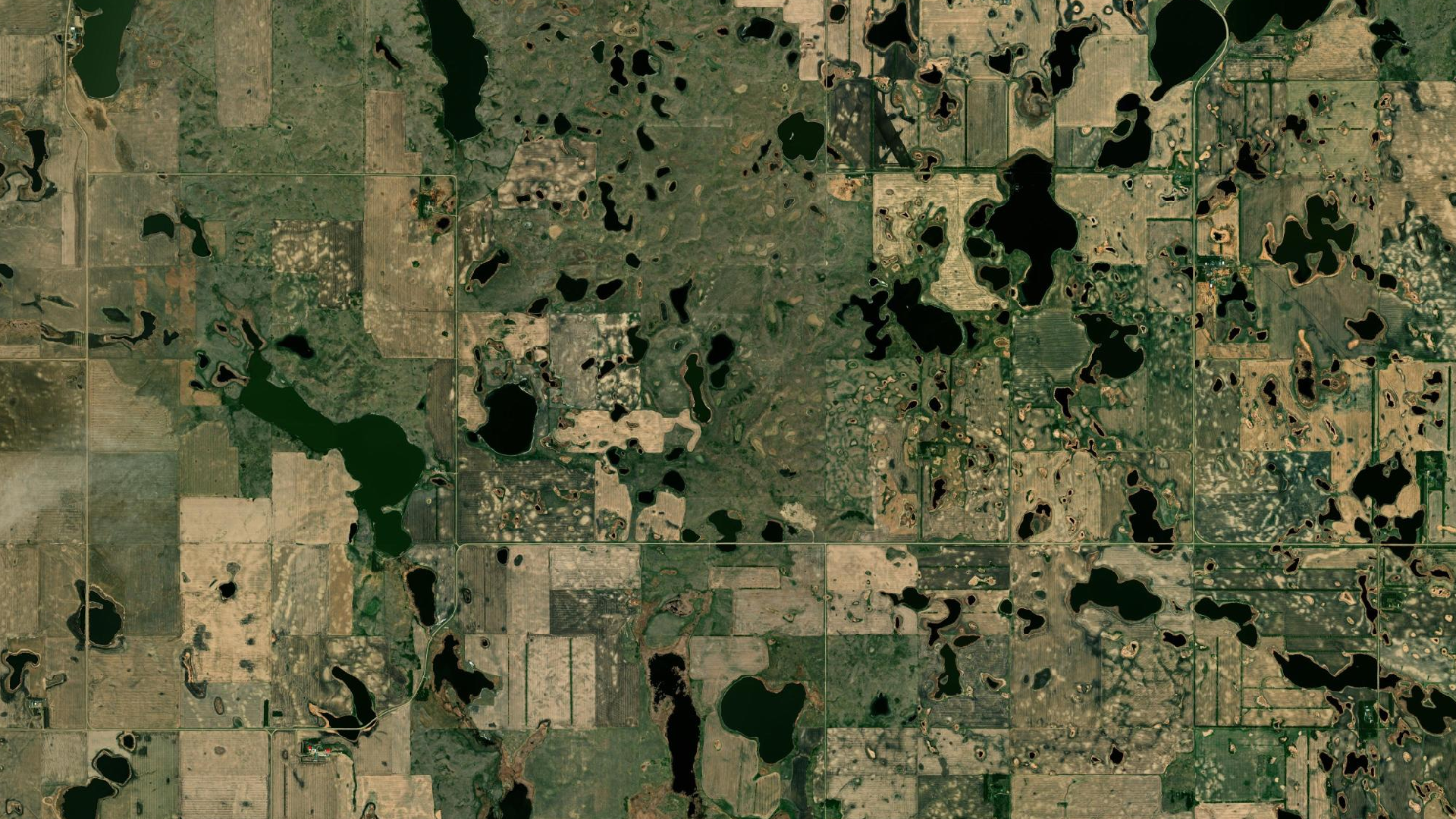Image of wetlands in Canadian Great Plains