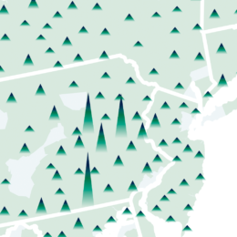 A close-up map of commercial Christmas tree production in the northeastern U.S.
