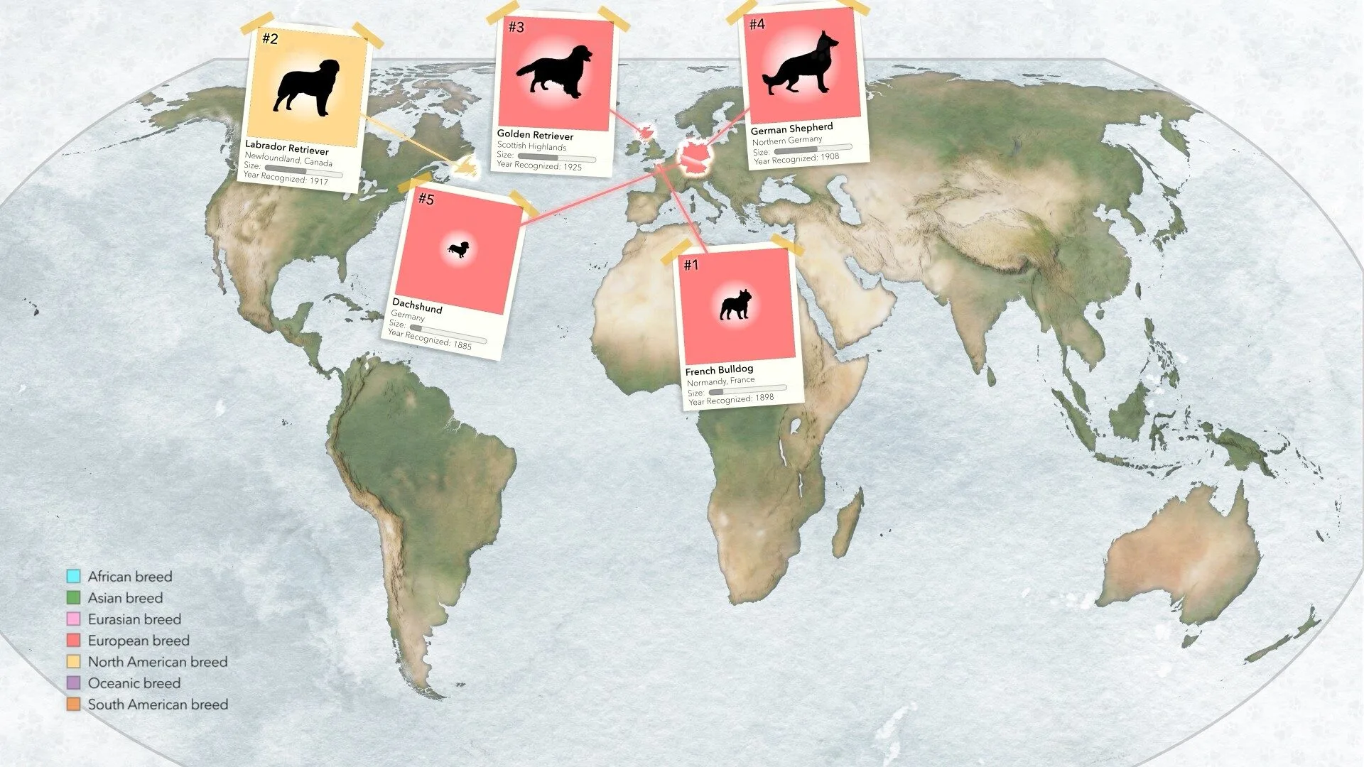 Map showing the five most popular dog breeds and their origins.
