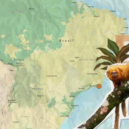 Map of South America showing endemic species.