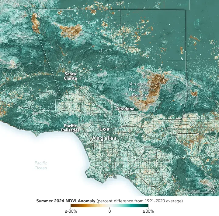 Map of Southern California showing NDVI in summer 2024.