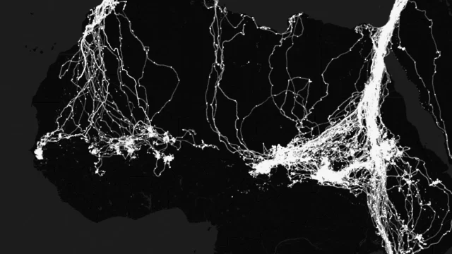 Map of Northern Africa showing white stork migration paths.