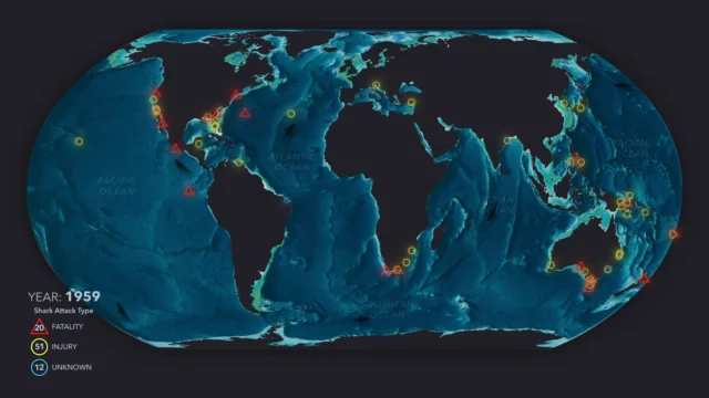 Map of global shark attacks reported in 1950.
