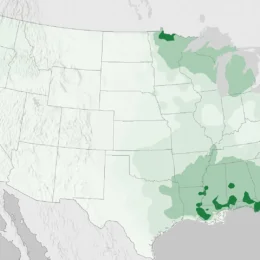 Map showing location and density of forested freshwater wetlands in the US.