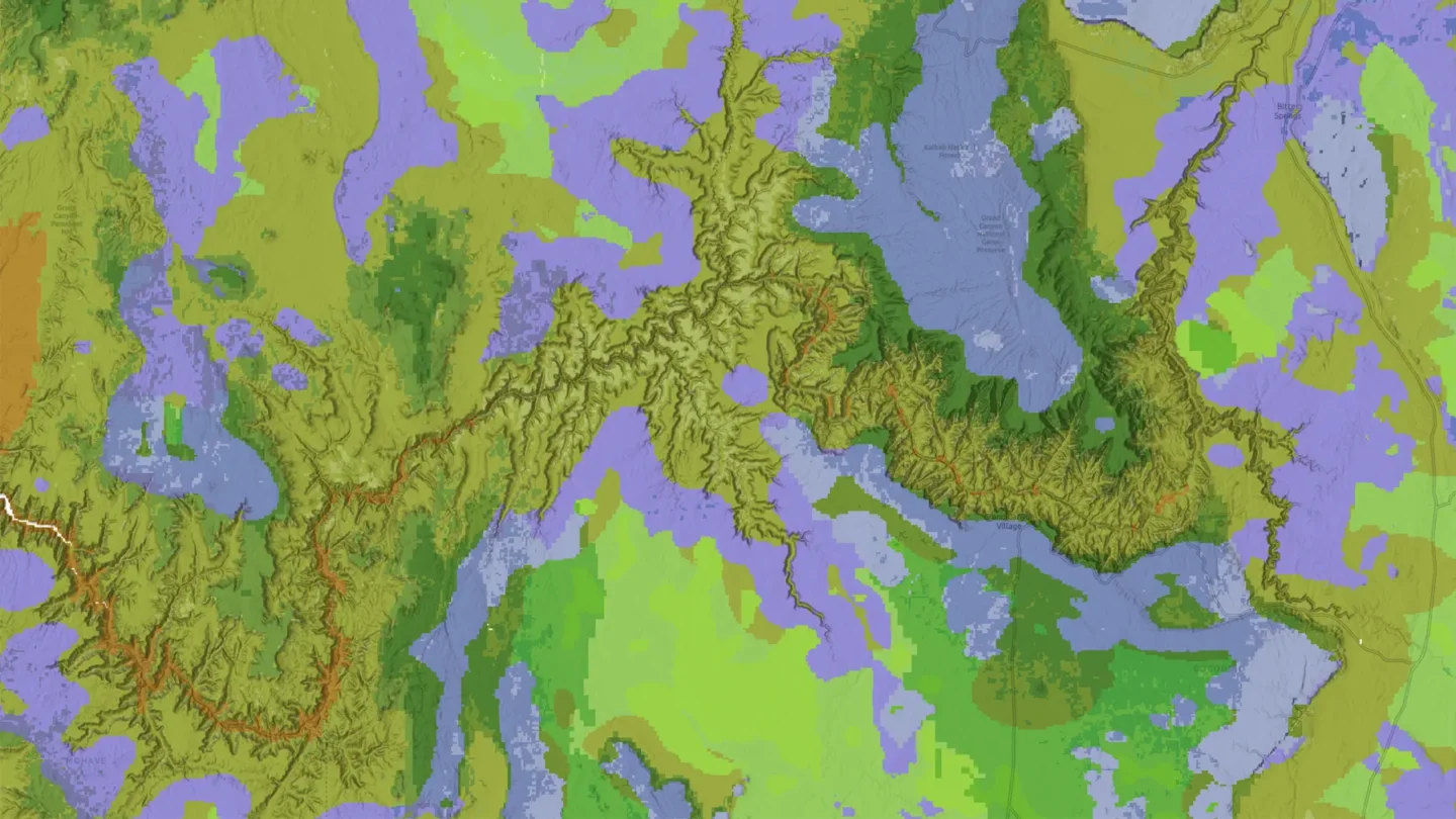 Grand canyon gallery  ecosystems
