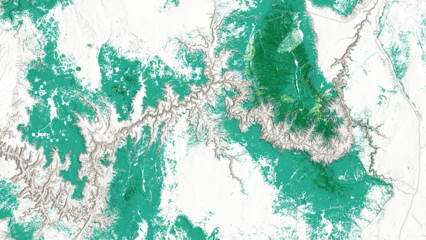 Grand canyon gallery  forest types