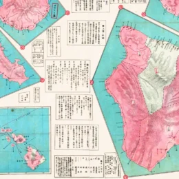 A crop of Hawaii as mapped by Nekketsu Takei.