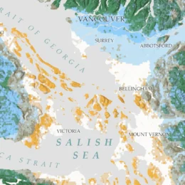 Jet streams, topography, and rainfall can influence tree canopy height.